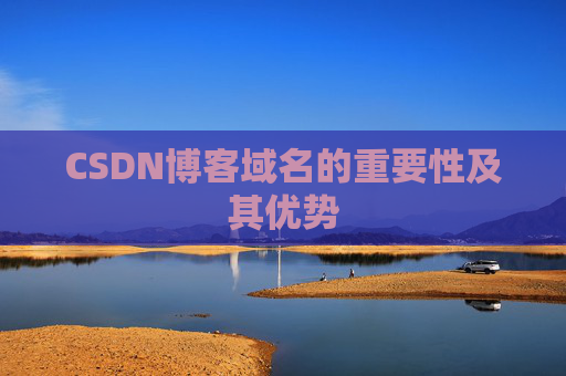 CSDN博客域名的重要性及其优势